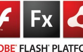 Adobe    Flash