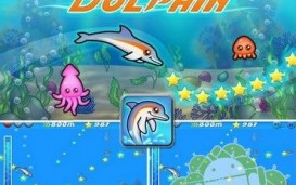 Dolphin -  