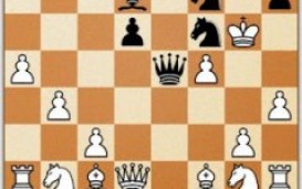 Chess Grandmaster -  