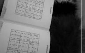 AR Sudoku Solver - невероятный решатель судоку