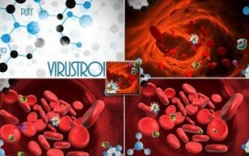Virustroids -  