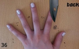4 Fingers -    )