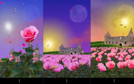 Rose Garden Live Wallpaper - обои с полем роз и замком