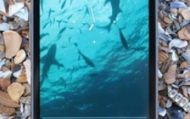 Ocean Alive Video Wallpapers