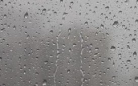 Raindrops Live Wallpaper