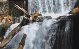 Beautiful Waterfall Live HD