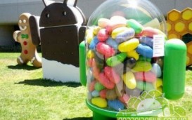 Jelly Bean   25  Android-