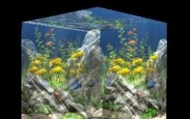 Dream Aquarium Live Wallpaper