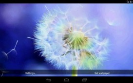 Galaxy S4 Sun and Dandelion