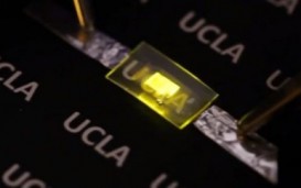 UCLA разработала прочный и гибкий OLED-экран