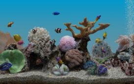 Marine Aquarium 3.2