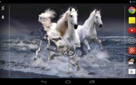 Beautiful Horses Wave effect