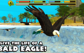 Eagle Simulator