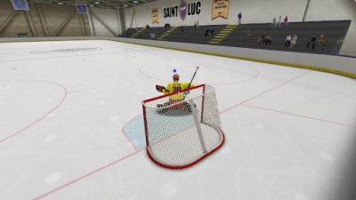 Virtual Goaltender -  