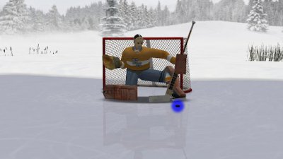 Virtual Goaltender -  