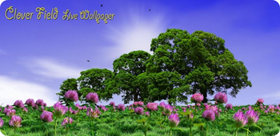 Clover Field Live Wallpaper - красивые обои с полем и цветами