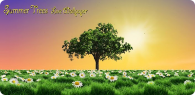 Summer Trees Live Wallpaper - обои с деревьями и природой