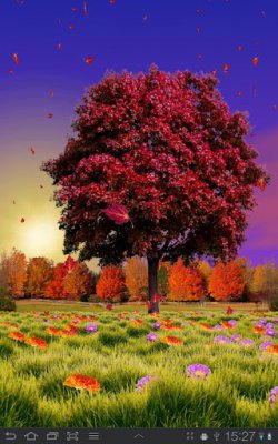Autumn Trees Live Wallpaper