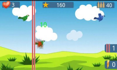 Crazy Bird Shooter