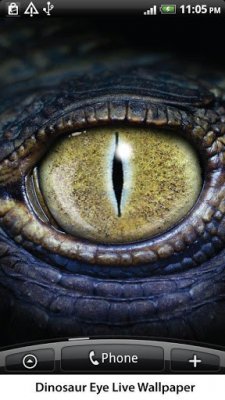 Dinosaur Eye