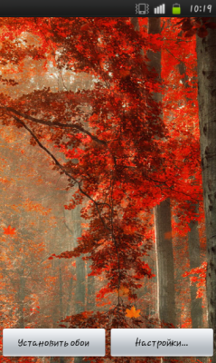 Forest Autumn Free LWP