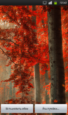Forest Autumn Free LWP