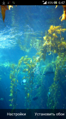 Under-Water-Scene