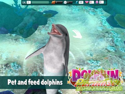 Dolphin Paradise: Wild Friends