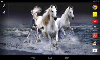 Beautiful Horses Wave effect
