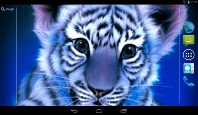 Blue Tiger Live Wallpaper