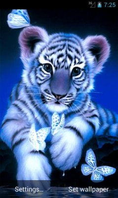 Blue Tiger Live Wallpaper