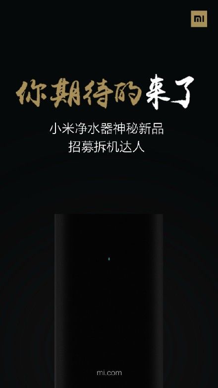   Xiaomi 24 ?