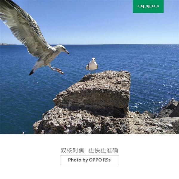 Камера Oppo R9S получит сенсор IMX398 от Sony с автофокусом Dual Pixel, по аналогии с Samsung...
